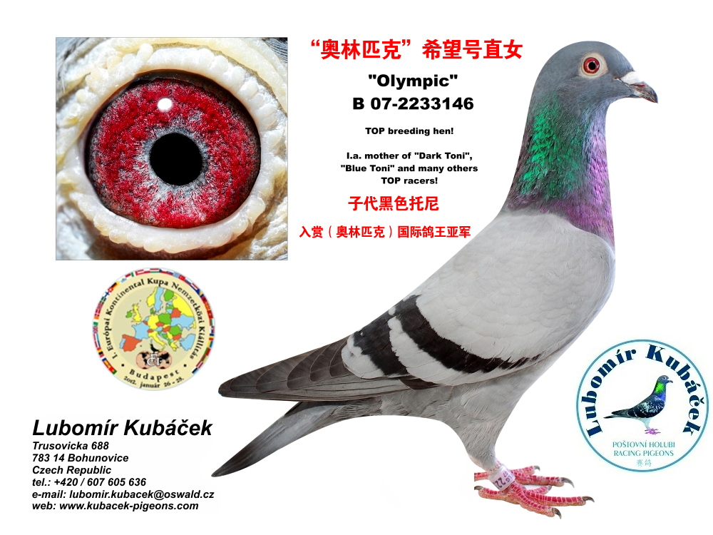 奥林匹克希望号直女