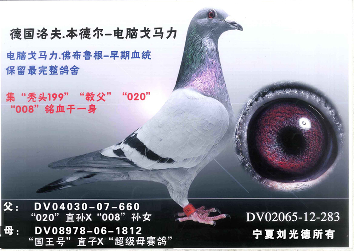 戈马力283
