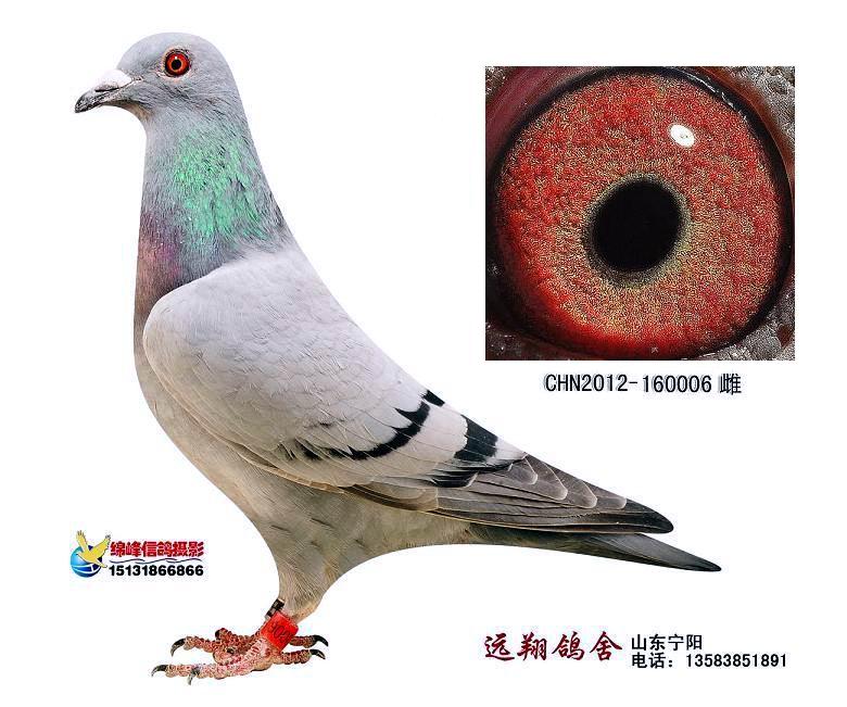 777766.com_77755.com_<em>2233cc红姐图库</em>_w