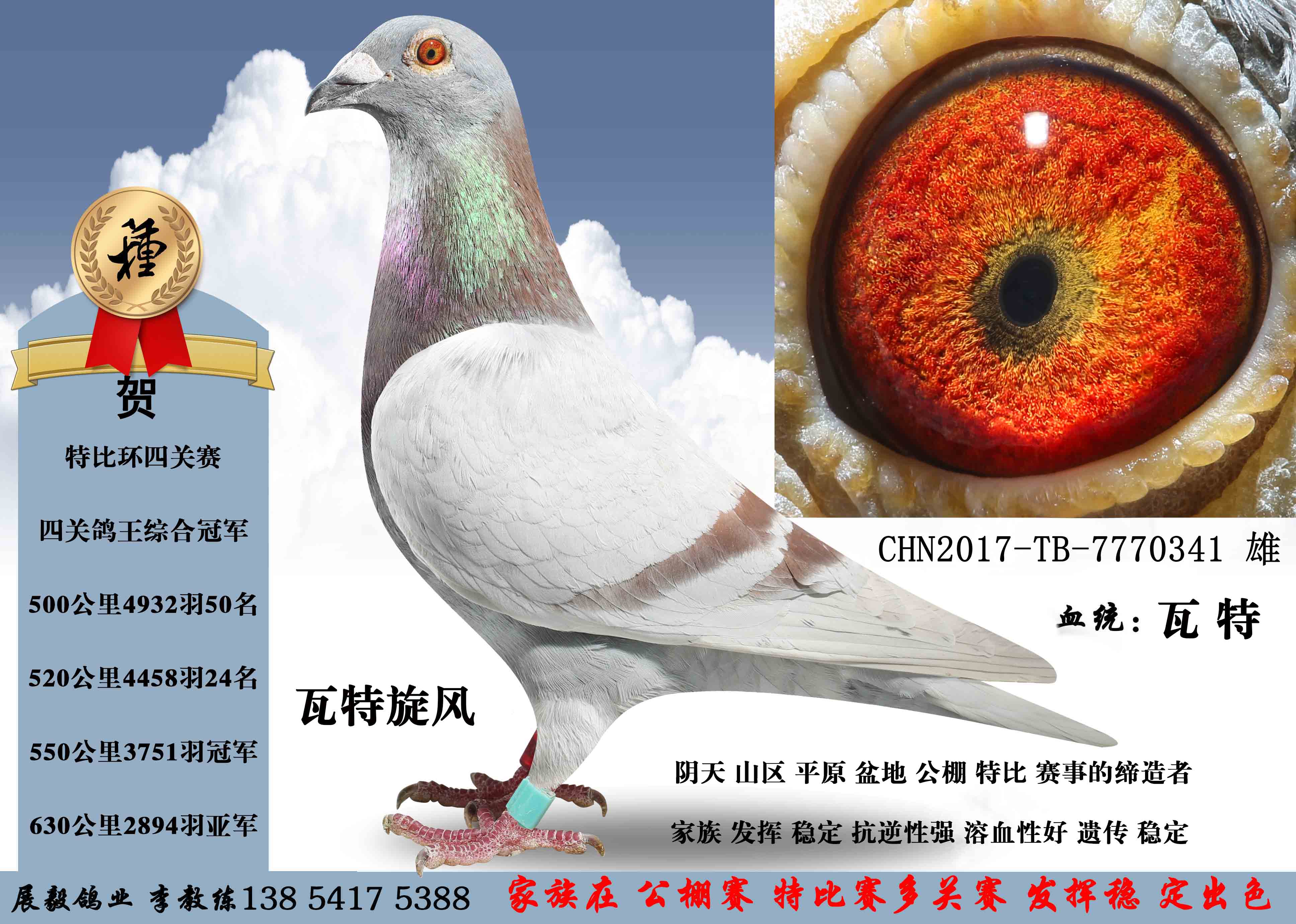 瓦特旋风