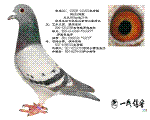 �差һ�����