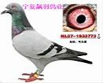 �ָ�