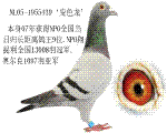 NPO������ȫ��13008��ھ�