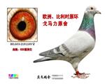 R020ϵ
