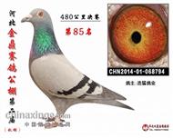 �ӱ���85��