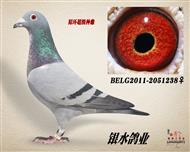 神秘家族         belg2011-2051238  神秘家族     浏览量:68 次