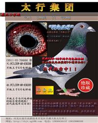 XW늋޽HֱO