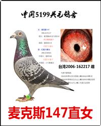 ˹217