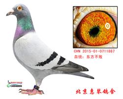 ɣʿ
