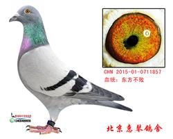 ɣʿ