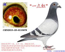 һc(din)t