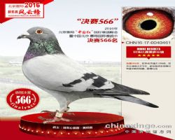 衰й족566