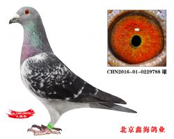 ҰֱXֱŮ