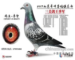 2017��ɽ��˴����ֲ����ظ���3��