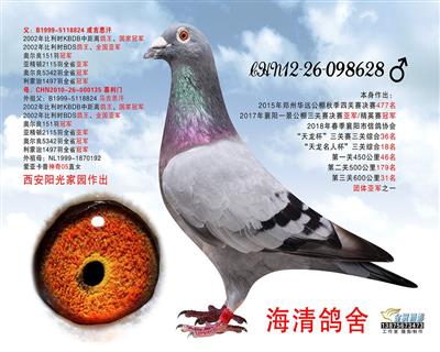 �ɼ�˼�hֱ��