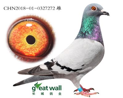 20190618173919712.jpg