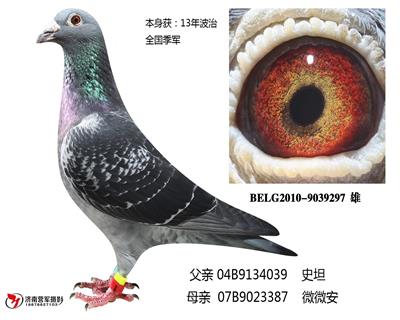 ����13�겨��ȫ������   ����ʷ̹��