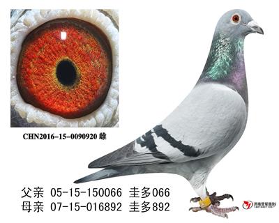 ���066ֱŮ0090920