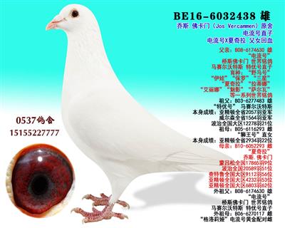 ֱ̖ X