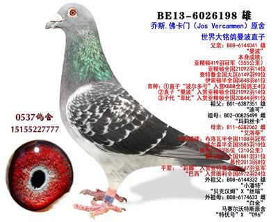 ֱ  X