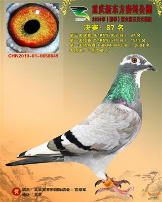 2020괺ؑc|Qِ87