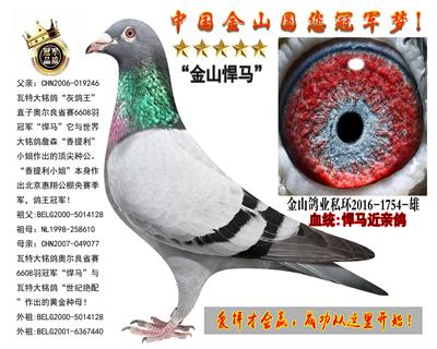 شRֱֱŮͬĸH