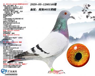 ƷӴ