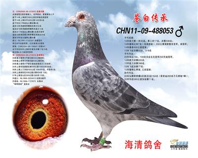 �n�����nֱ��