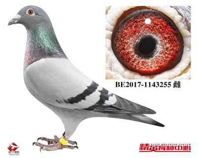 피�(j��)����-�S������