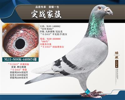 613