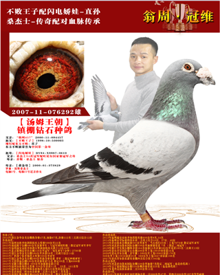 ķW늋ֱO