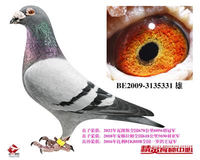 ���A(ch��)�N��-����1̖(h��o)