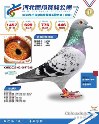 2022ӱ빫446