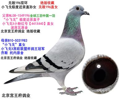 ph(hun) o(w)196ֱŮ