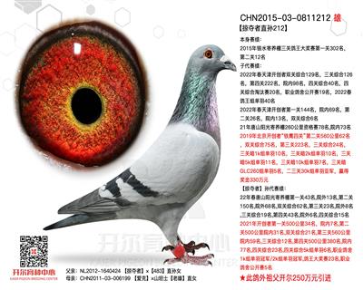 ӊZֱO212yӱڶP(gun)12