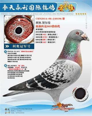 500����ھ�������ƥ��03�������