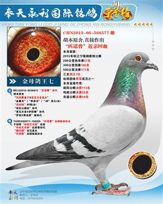 ����ĸ�����ߡ���ƥŵ�����������ƥŵ�ܡ�