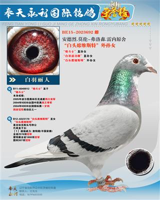 ����ɭ.����ԭ�ᡰ��ͷϯά˹�ء�����Ů