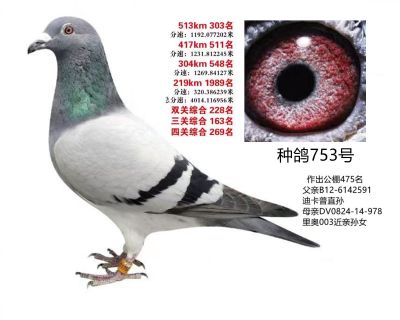 ָ753