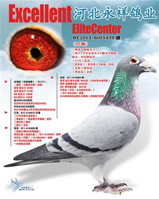 ˹Ǫ游ֱͬ