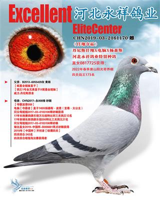 ǧ塤Ǫԡ