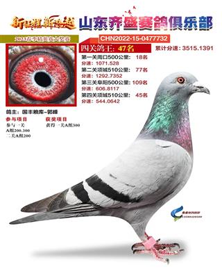 2023괺ʢֲĹظ47