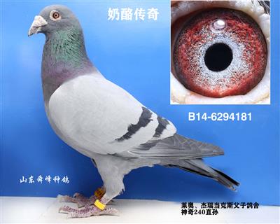 ҂
