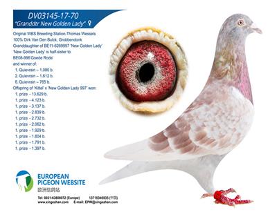 ���S��Ů�ɌOŮ