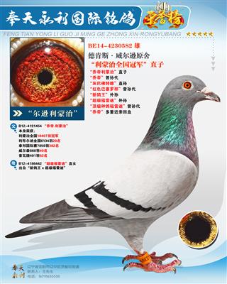 ��������18407��ȫ���ھ���ֱ��