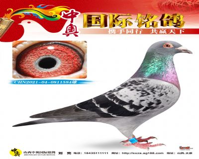 CHN2021-04-0811584