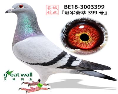 ���ھ�����399�š�&