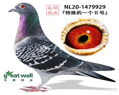 �������һ��II�š�&������ҫ��ֱ�