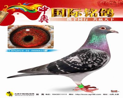 CHN2016-04-0008810