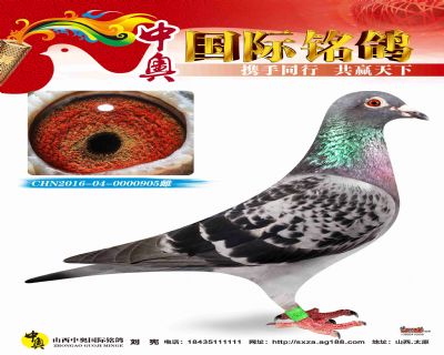 CHN2016-04-0000905